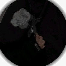 Guest_Qiluvvv