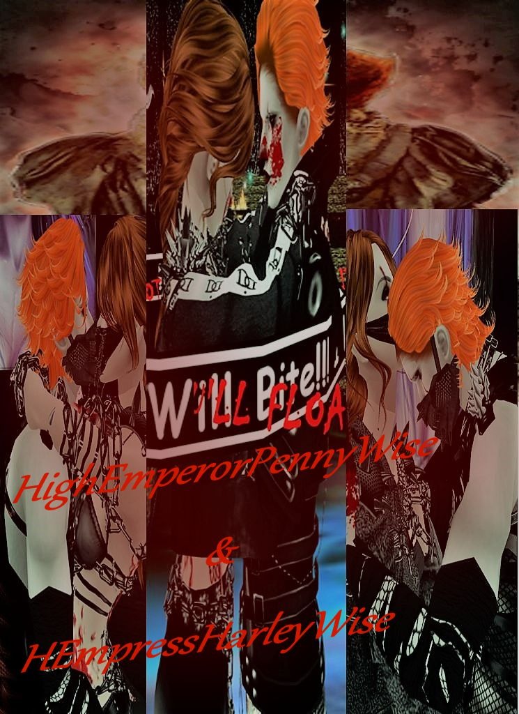 HEmpressHarleywise
