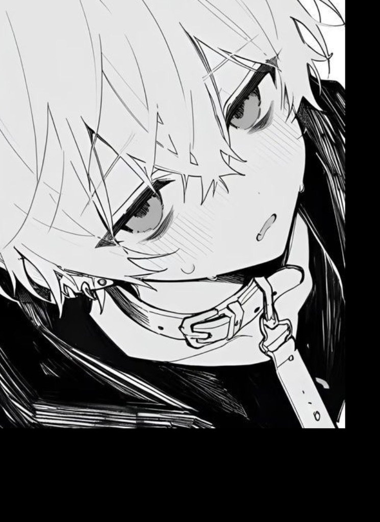 ReiZSX