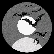Guest_corallavendermagc084