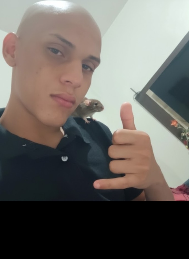 avpic