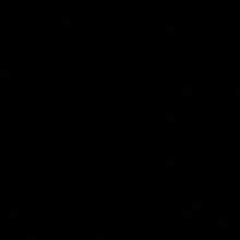 Guest_GabrielFelipeApolina