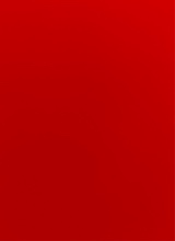 Guest_rose492096