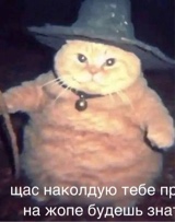 Guest_yuorDaddy