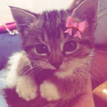 Guest_Helena561784