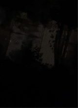 Guest_aliyah937215