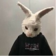 Guest_spluh