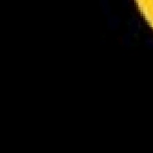 Guest_Six670063