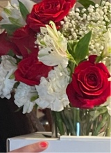Guest_expensivefuchsiad78c