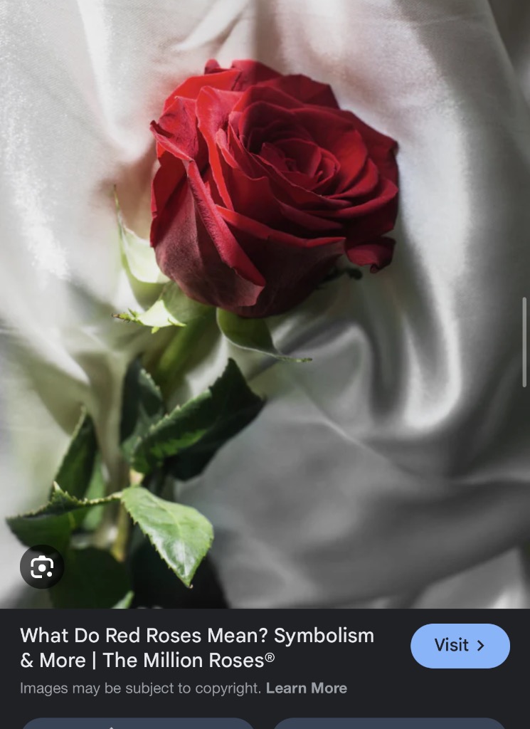 immagine avatar