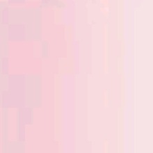 Guest_tearoseislamicgra2c5