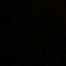 Guest_greatelectriccri62d2