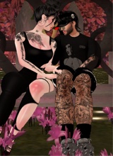 Guest_miauu9