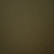 Guest_Xxx510541