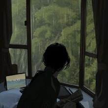 Guest_Lily320425