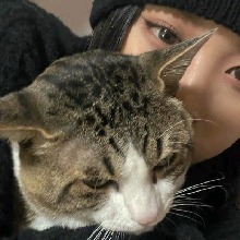 Guest_choutzui
