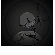 Guest_Mond16