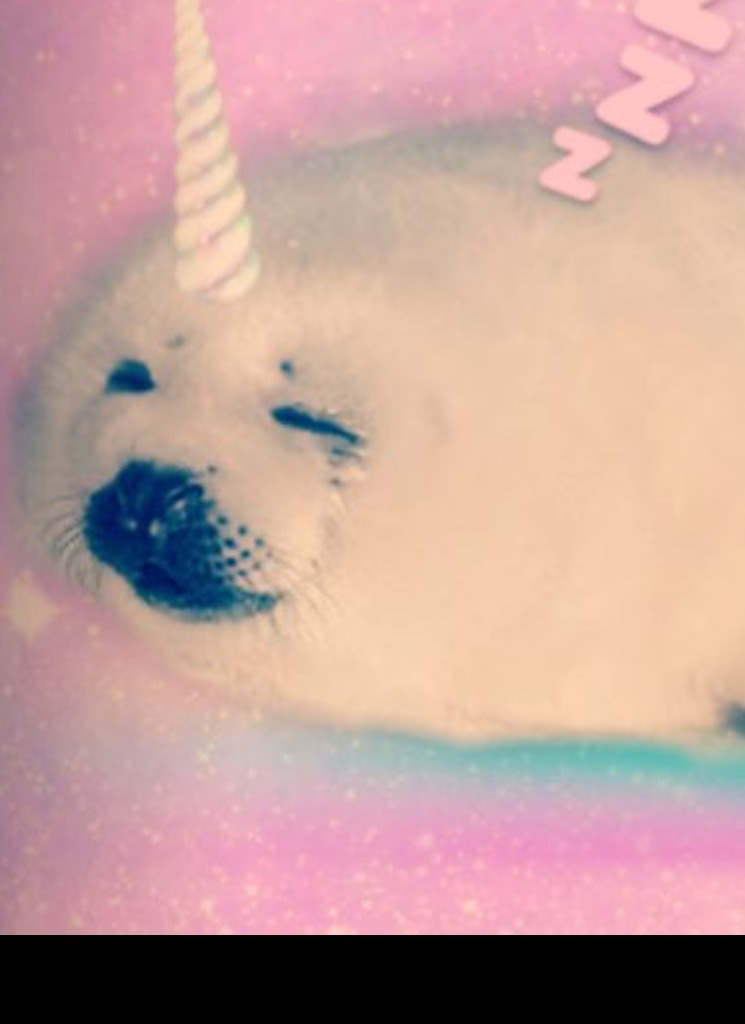 Guest_sisiibunnii