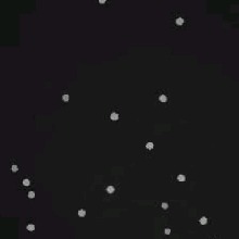 Guest_CAM816571