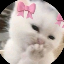 Guest_Mayrxz