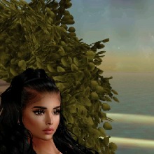 Guest_Mar501106