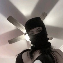 Guest_lightgraypersianee64