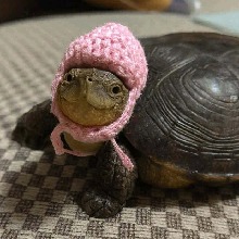 Guest_Tyjack1