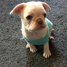 Guest_Tyjack1