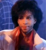 Guest_OrchidaceaeBby
