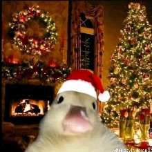 Guest_Yiret12