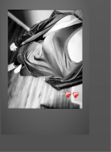 Guest_yuli23024