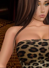 Guest_solaruticara