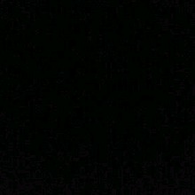 Guest_deepskyblueferngf45d