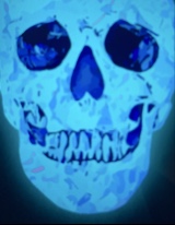 papabear401