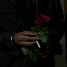 Guest_Mavrose
