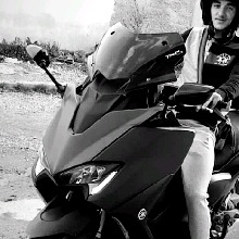 Guest_Stouu