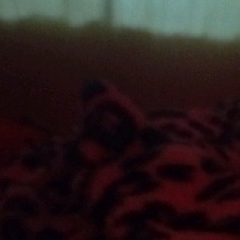 Guest_BlckDXX