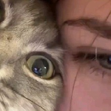 Guest_ElainaCane