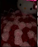 Guest_amiri314681