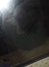Guest_dxddy557767
