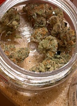 Guest_prettywett1
