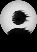 immagine avatar