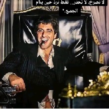 Guest_Boss838507