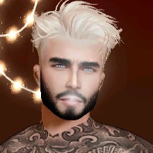 Guest_Andres46548