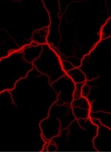 Dynamically
