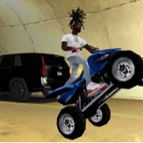 Guest_bamdarealest