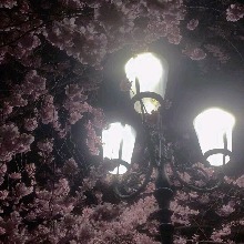 Guest_mariellas333