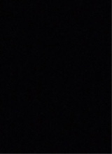 Guest_steadycadmiumyel2f56