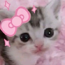 Guest_miauzinho