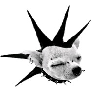Guest_Fishmx